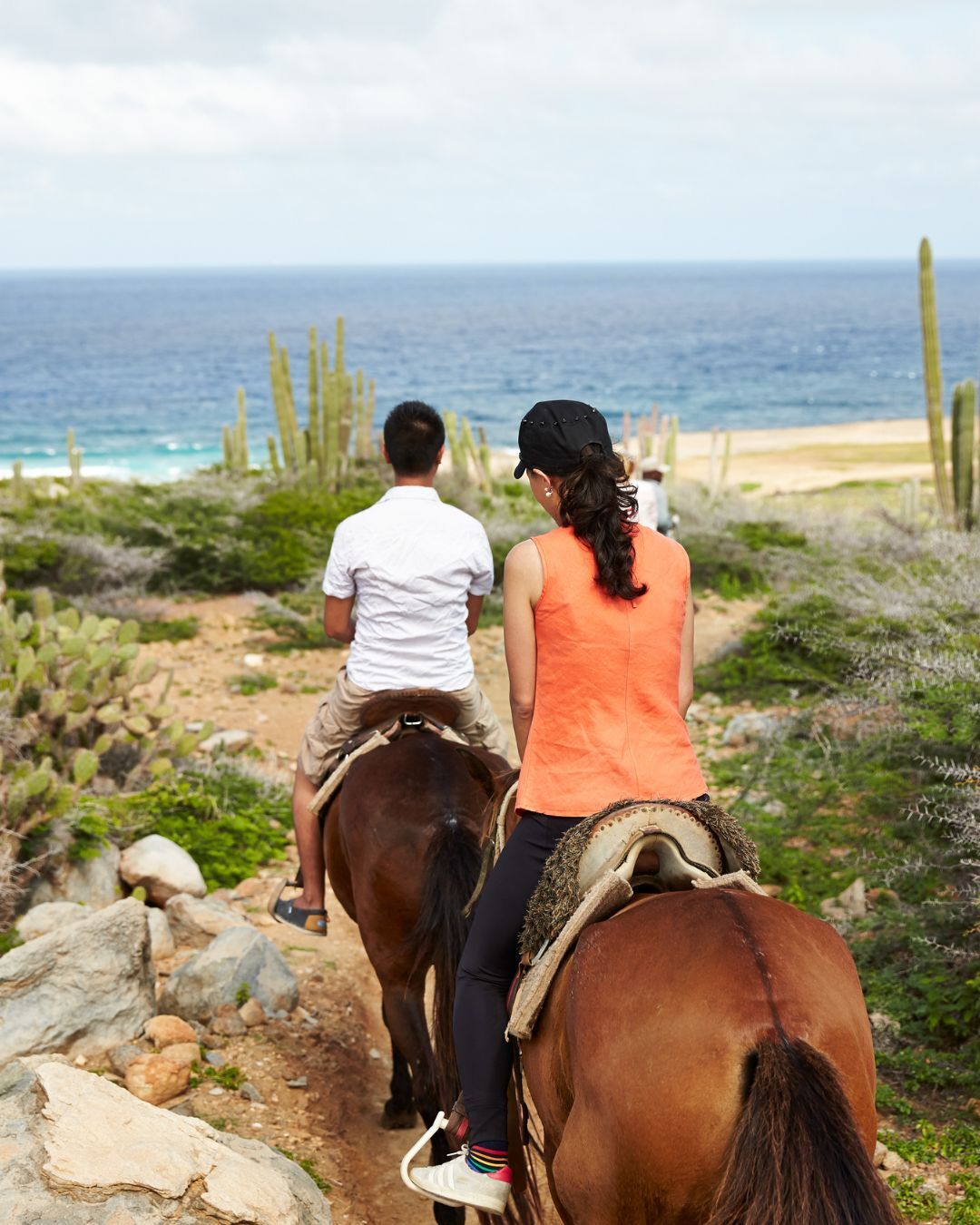 Adventurous shore excursions await you in Aruba with Princess Cruises! ๐๏ธ ๐ด
Plan this week during BLACK FRIDAY ๐ and get up to 50% off PLUS your 3rd & 4th guests sail FREE! #TravelBetter #PrincessCruises